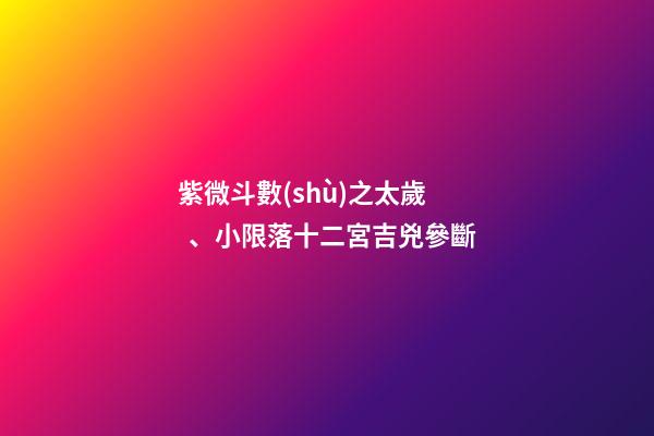 紫微斗數(shù)之太歲、小限落十二宮吉兇參斷